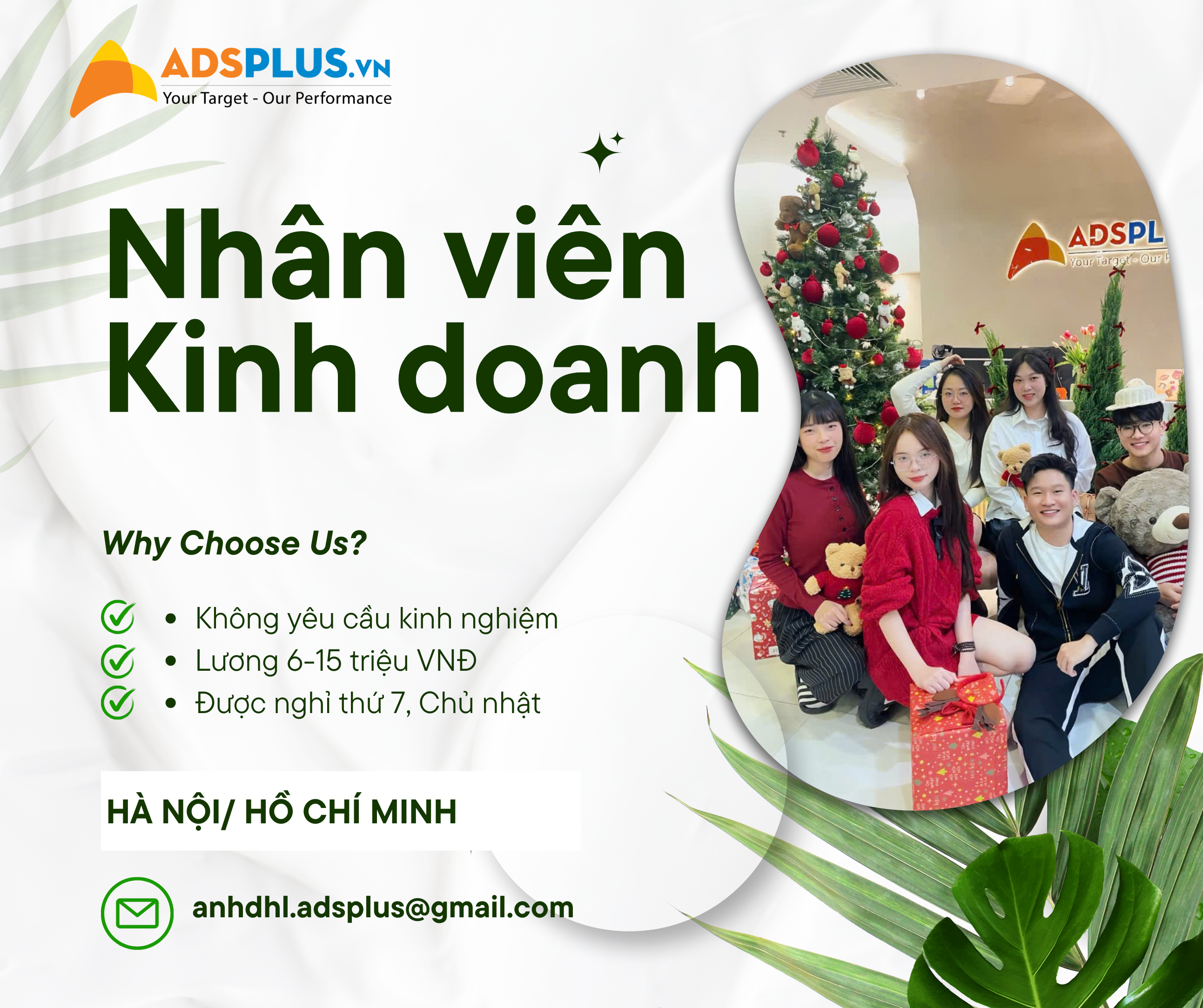 lĩnh vực hoạt động
